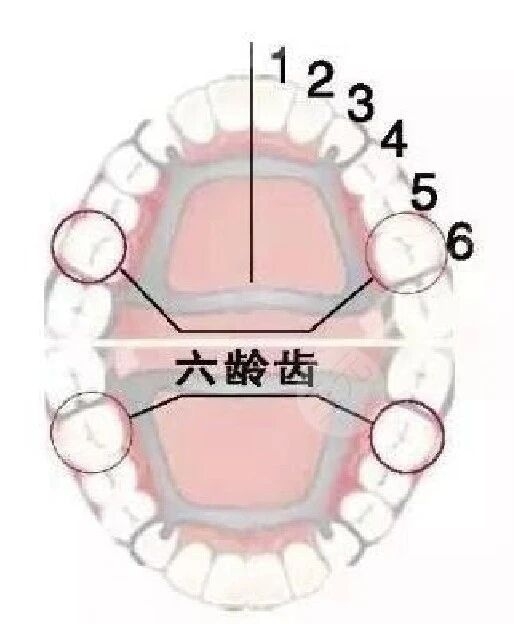 微信图片_2026-06-17_091030_192.jpg 微信图片_2026-06-17_091030_192.jpg
